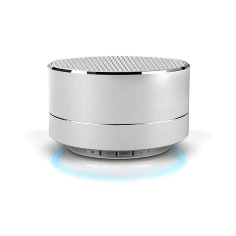 Reekin Marlin Speaker Cu Bluetooth Handsfree (Argintiu)