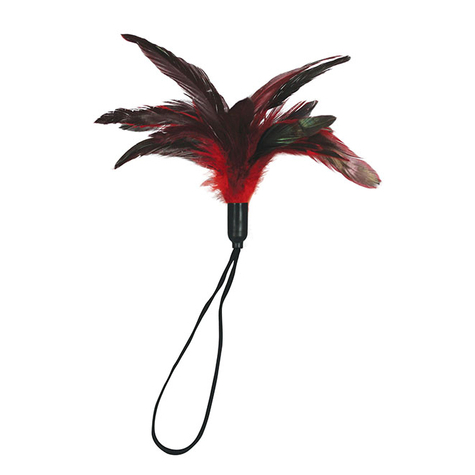 Feather:Pleasure Feather Red