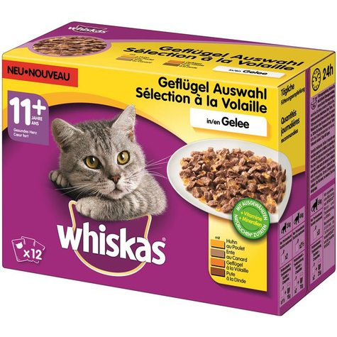 Whiskas,Whi.11+ Winged Jelly 12x100gp