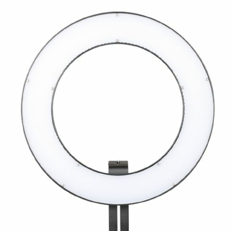 Falcon Eyes Bi-Color Led Led Ring Lamp Dimmable Dvr-384dvc Pe 230v