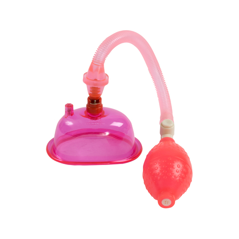 Pompe Pentru Penis : Pompă Pentru Păsărică Roz
