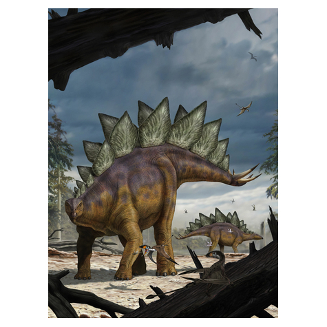 Foto Tapet Autoadeziv   Stegosaurus  Dimensiuni 184 X 248 Cm