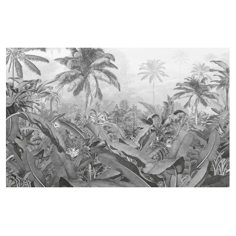 Non-Woven Wallpaper - Amazonia Black And White - Size 400 X 250 Cm