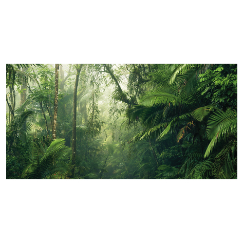 Foto Tapet Autoadeziv   Tropical Worlds  Dimensiuni 500 X 250 Cm