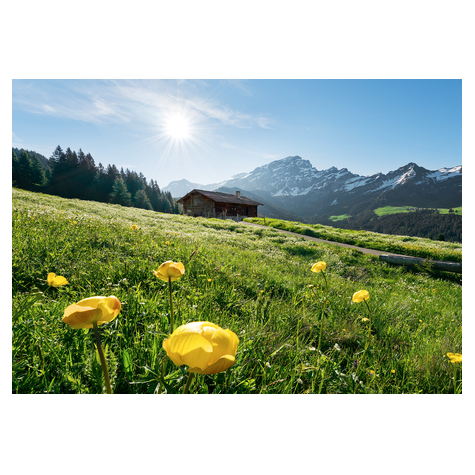 Foto Tapet Autoadeziv   Alpine Happiness  Dimensiuni 400 X 280 Cm