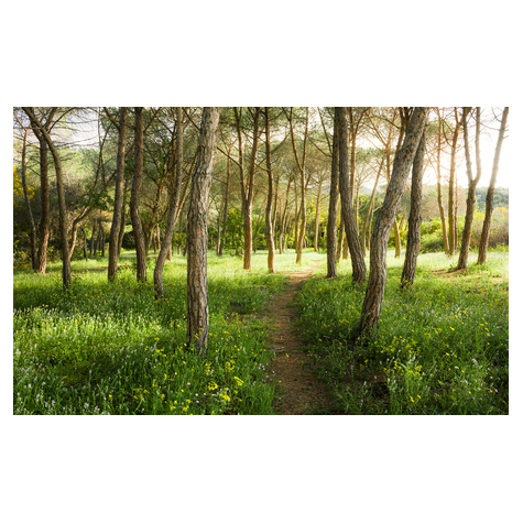 Foto Tapet Autoadeziv   Pădurea Fermecată A Florilor  Dimensiuni 450 X 280 Cm