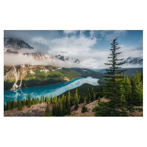 Foto Tapet Autoadeziv   Wonderland Canada  Dimensiuni 450 X 280 Cm