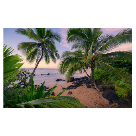 Foto Tapet Autoadeziv   Hawaiian Dreams  Dimensiuni 450 X 280 Cm