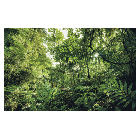 Foto Tapet Autoadeziv   Into The Jungle  Dimensiune 400 X 250 Cm