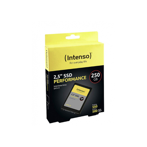 Intenso Performance 250gb Interne Ssd Sata Iii