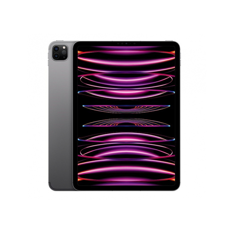 Apple Ipad Pro 11 Wi-Fi + Cellular 128gb Space Gray 4th Gen. Mnyc3fd/A