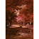 Foto Tapet Autoadeziv   Autumna Rosso  Dimensiuni 200 X 280 Cm