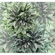 Foto Tapet Autoadeziv   Emerald Flowers  Dimensiune 300 X 280 Cm