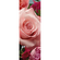Foto Tapet Autoadeziv   Parfum De Trandafir  Dimensiune 100 X 280 Cm
